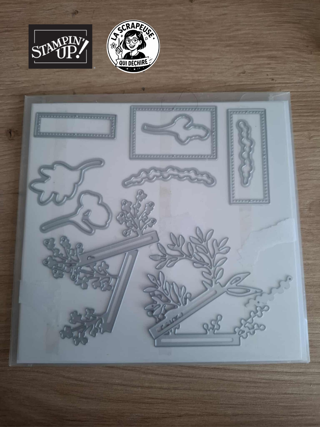 Set de Découpes bigshot - Composition classique Stampin’Up Occasion