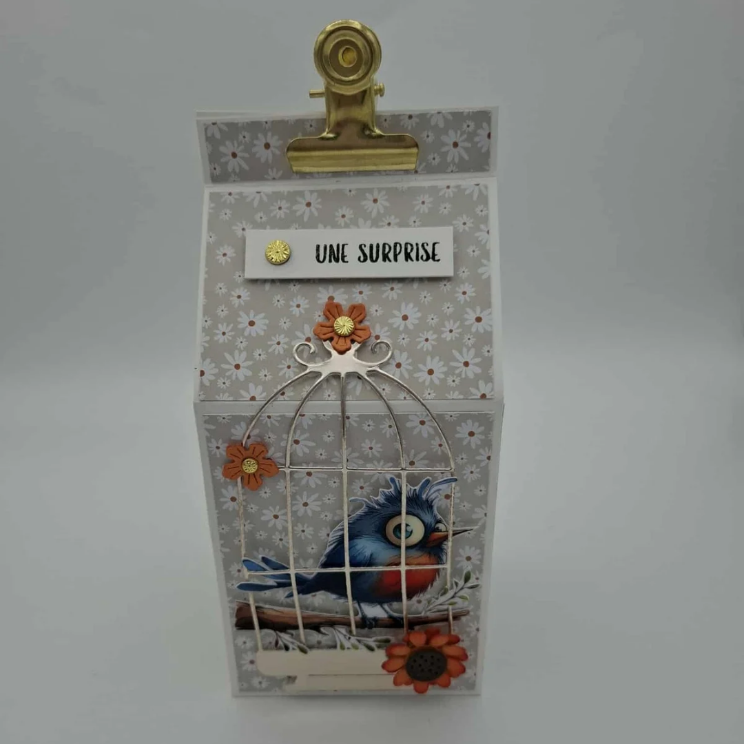 L'oiseau timide - Boite surprise
