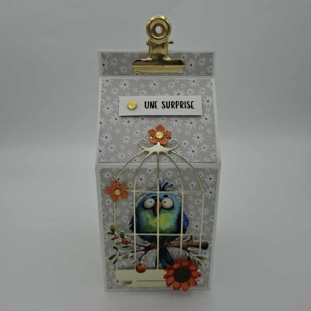 L'oiseau touffu - Boite Suprise