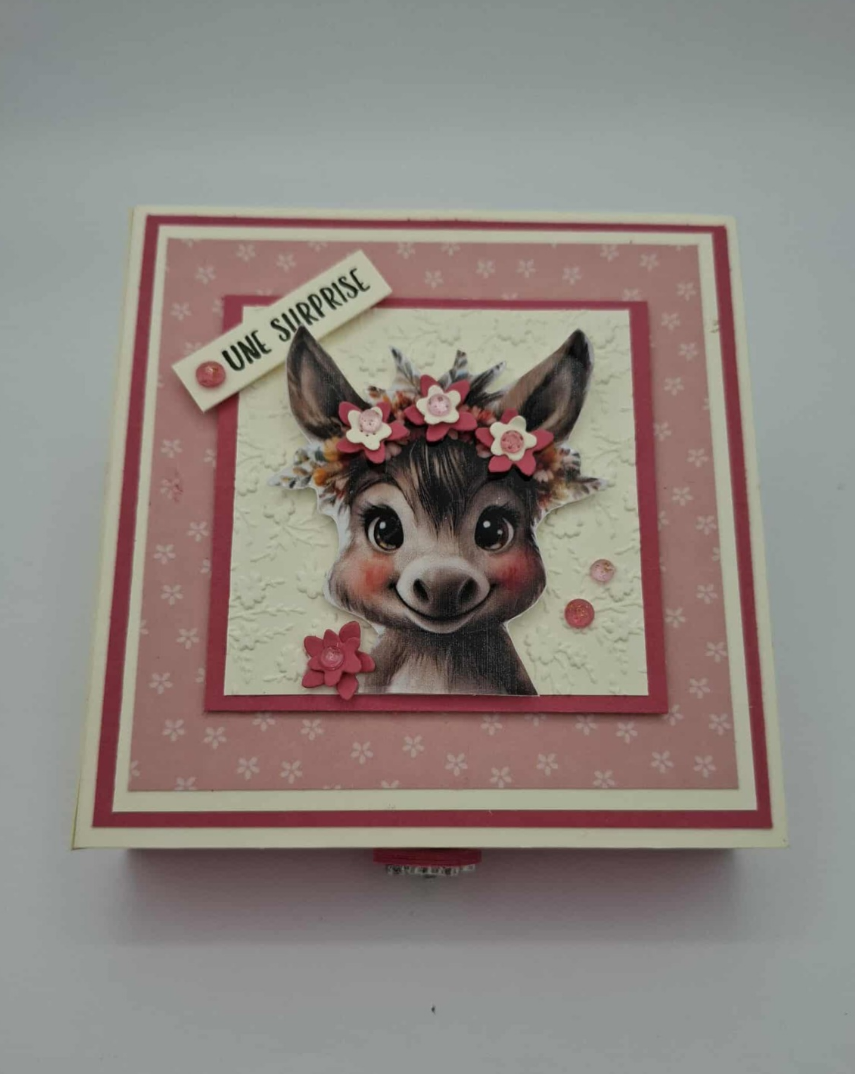 Boite cadeau Ânes