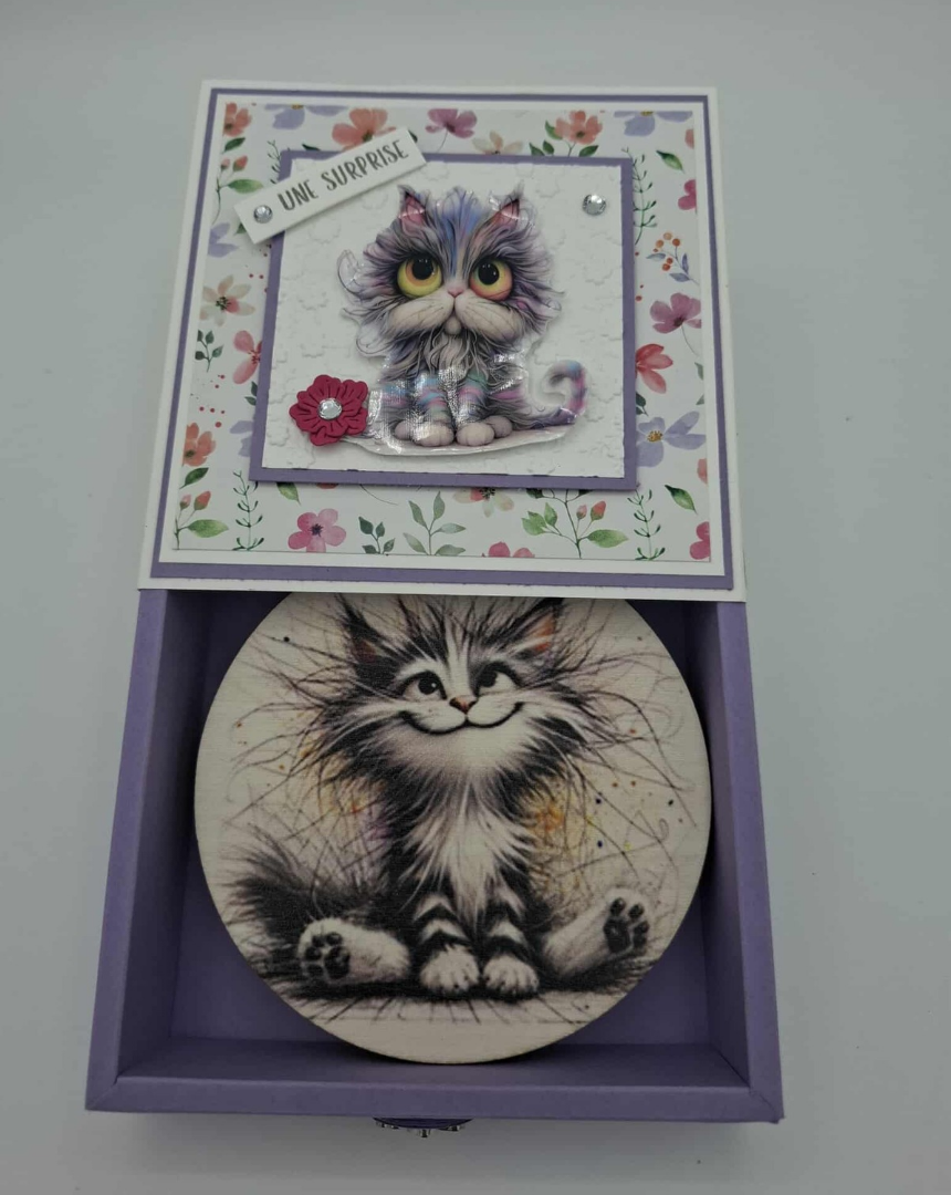 Boîte cadeau Ronronnant