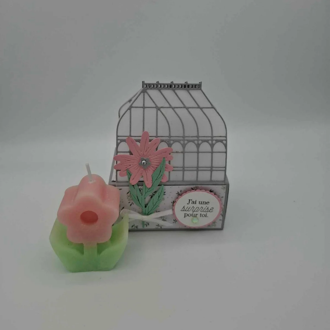 Serres florales - Fêtes des mères