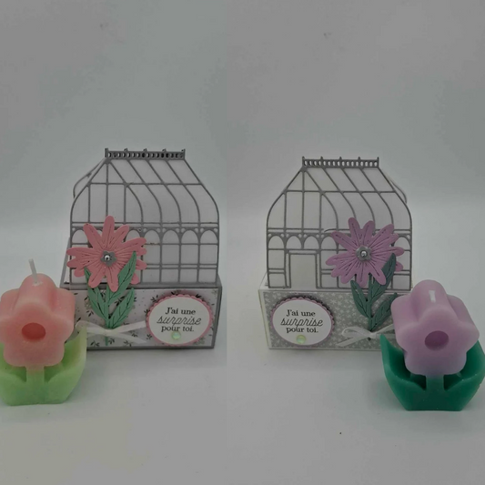 Serres florales - Fêtes des mères