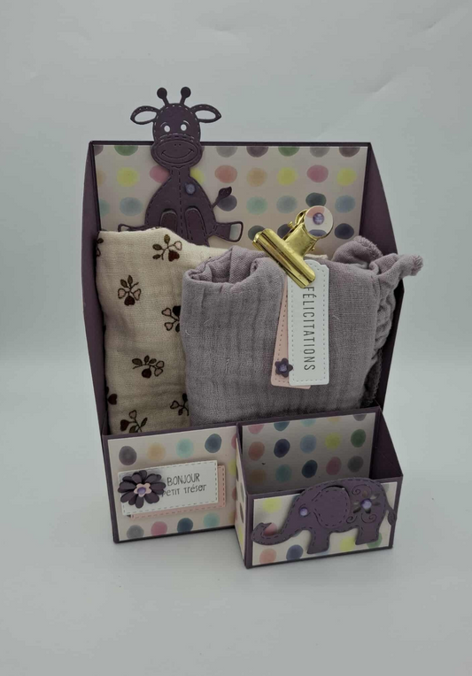 Coffret Naissance Prune - Bavoirs