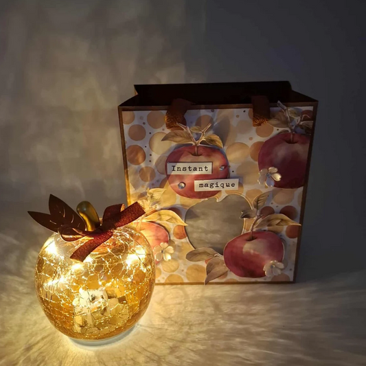 Coffret Lumineux : Lampe décorative Pomme rouge