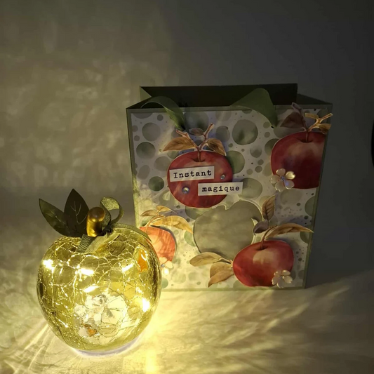 Coffret Lumineux : Lampe décorative Pomme verte