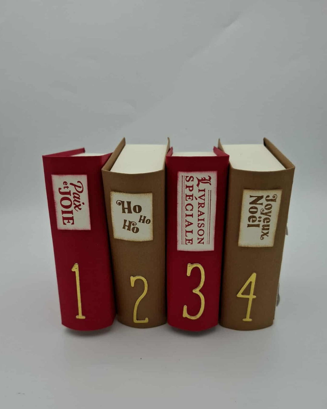 Calendriers de l'Avent LIVRE " Le Père Noël en cuisine" - Réservé Manu SOLIDAIRE