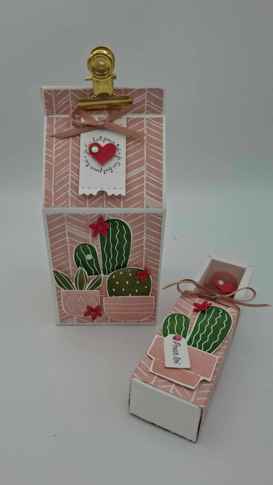 Douceur Cactée - Rose