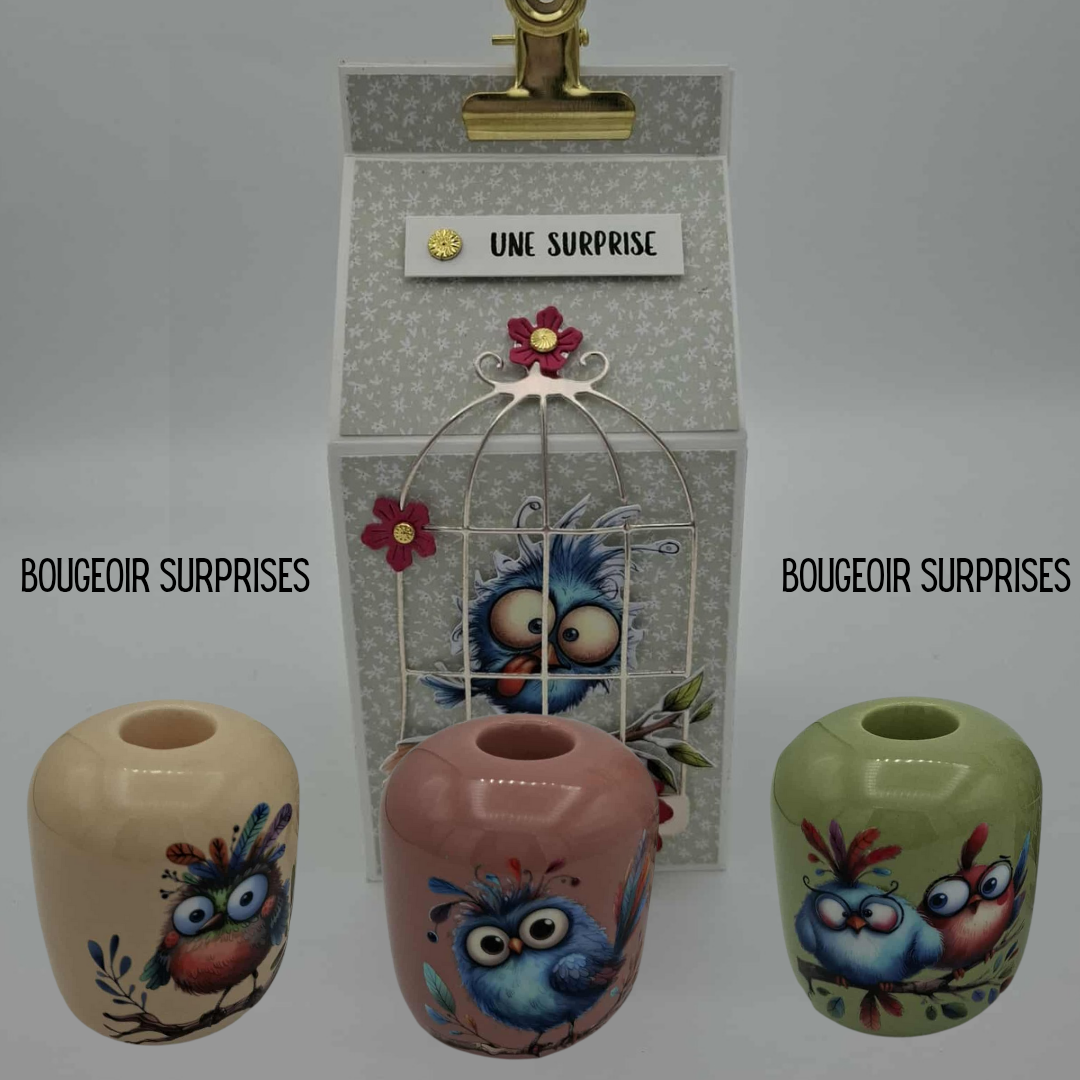 L'oiseau touffu - Boite Suprise