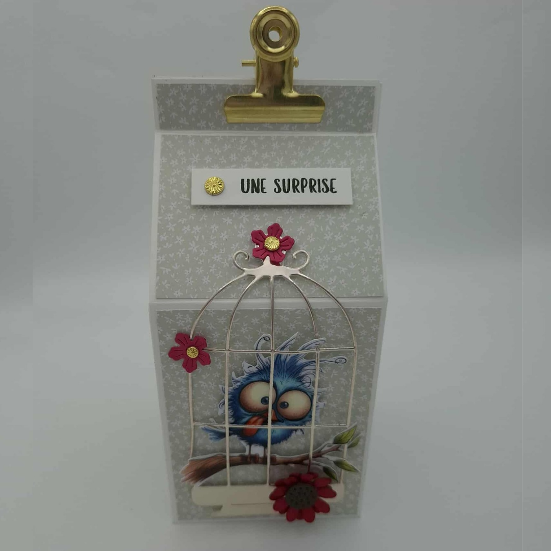 L'oisillon zigoto - Boite surprise
