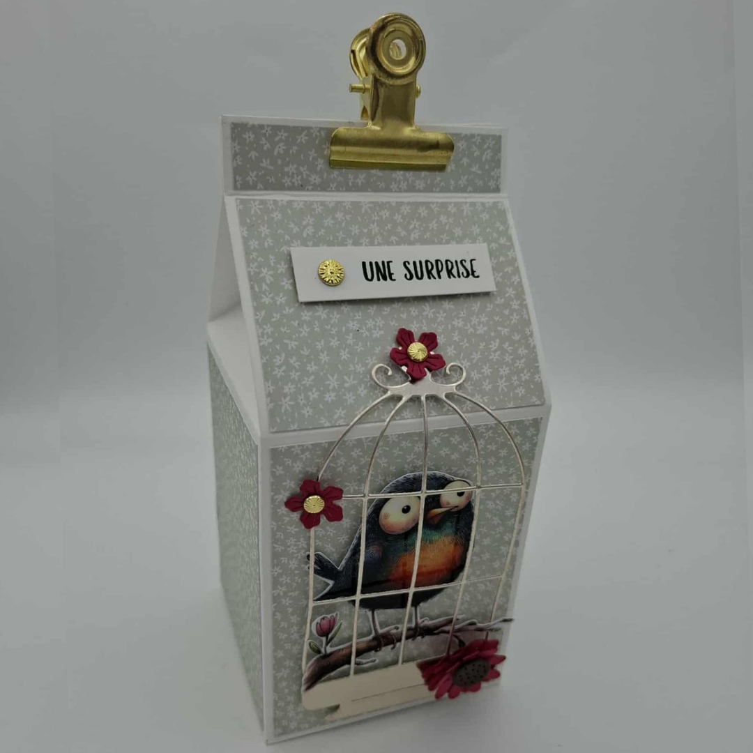L'oiseau sous le choc - Boite Surprise