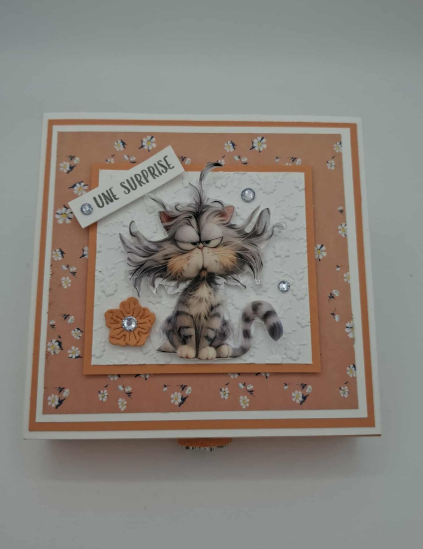 Coffret CAT de table