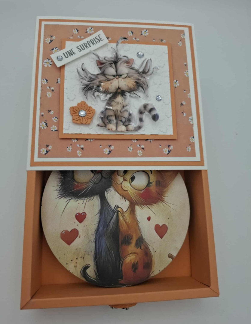 Coffret CAT de table