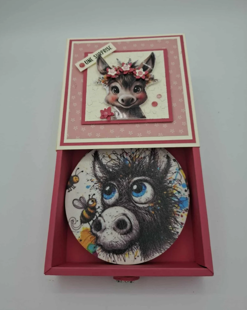 Boite cadeau Ânes