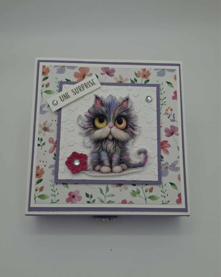 Boîte cadeau Ronronnant