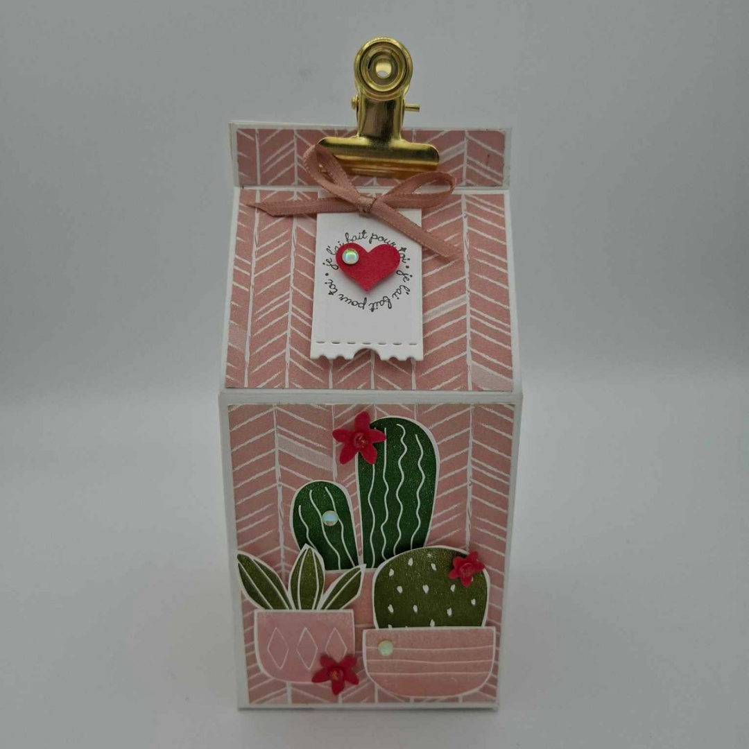 Douceur Cactée - Rose