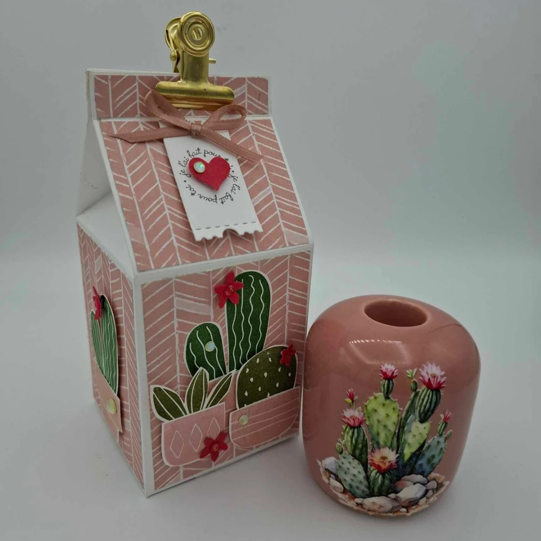 Douceur Cactée - Rose